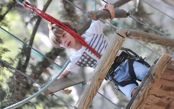 Tree Climbing close to The Mas de Thau